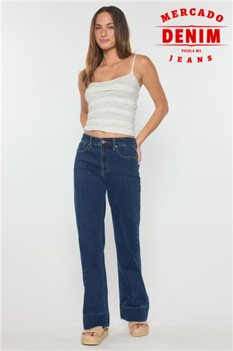 Indigo Frame - High Rise Straight / EP3680